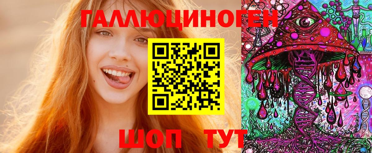 Псилоцибиновые грибы Psilocybe Полевской