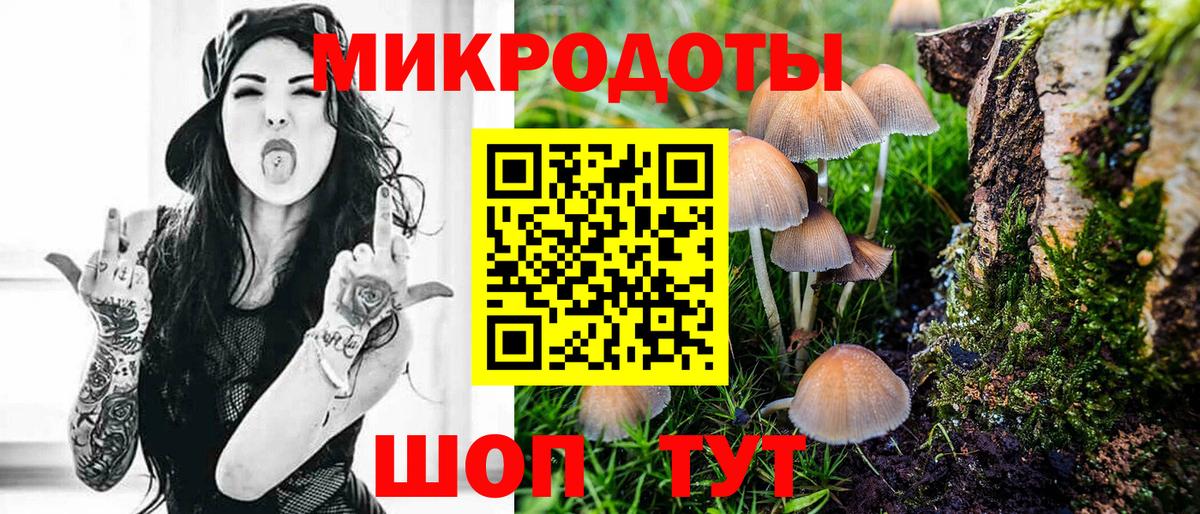 Галлюциногенные грибы GOLDEN TEACHER  где купить наркотик  Полевской  Вход с VPN 